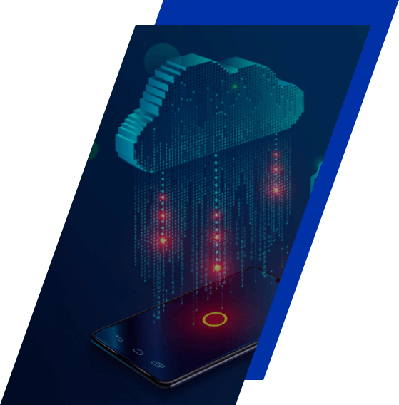 Container Management Nedir?